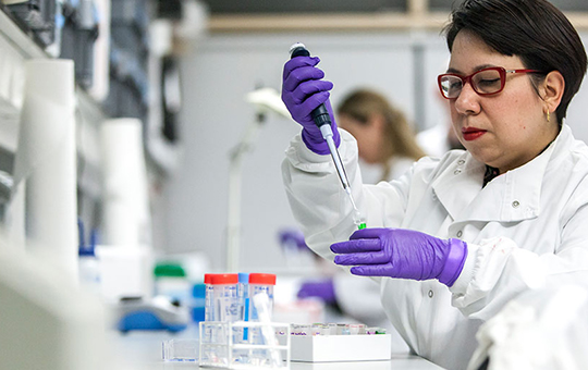 A scientist wearing purple gloves is using pipettes
